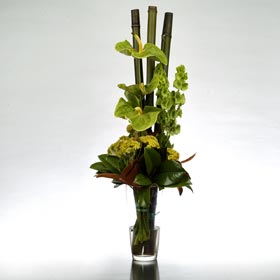 Apartmento Vase